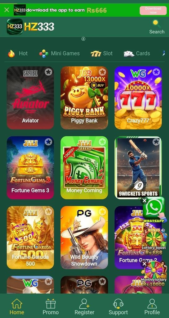 HZ333 Game
